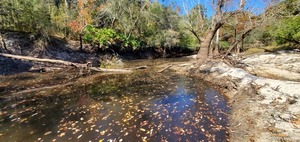 [Upstream to sample site above Langdale Park Boat Ramp, 12:29:08, 30.8875, -83.324]