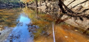 [Bucket and downstream deadfalls, Withlacoochee River @ Staten Road, 13:06:01, 30.928052, -83.293409]