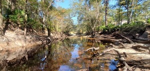 [Upstream to test site, Withlacoochee River @ Staten Road, 13:06:06, 30.9279, -83.29344]