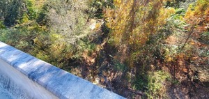 [Coming out of the woods Ziegler Creek? 13:36:29, 30.948845, -83.271743]