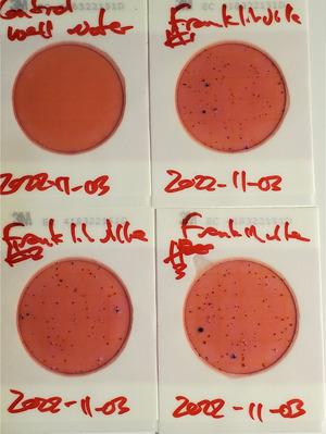 [200 cfu/100 mL, Plates, Franklinville Landing, Withlacoochee River]