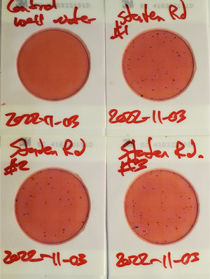 [33 cfu/100 mL, Plates, Staten Road, Withlacoochee River]