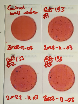[200 cfu/100 mL, Plates, GA 133 Bridge, Withlacoochee River]