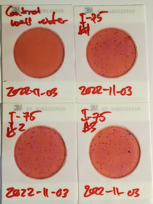 [166 cfu/100 mL, Plates, I-75 Landing, Withlacoochee River]