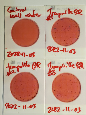 [133 cfu/100 mL, Plates, Troupville Boat Ramp, Little River]