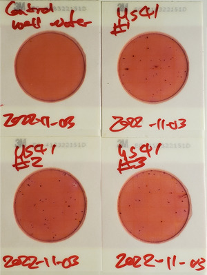 [0 cfu/100 mL, Plates, US 41 Bridge, Withlacoochee River]