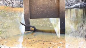 [Movie: Water Flow, Nankin Boat Ramp, Withlacoochee River @ Clyattville-Nankin Road 2022-11-03]