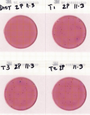 [Plates, Troupville Boat Ramp 2022-11-03]