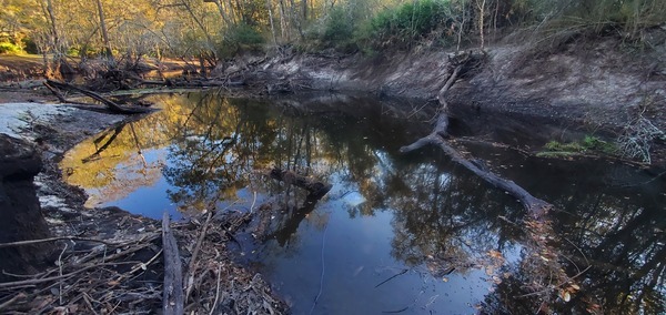 Downstream past Langdale Park Boat Ramp, 2022-11-13 16:10:21, 30.8875714, -83.3242222