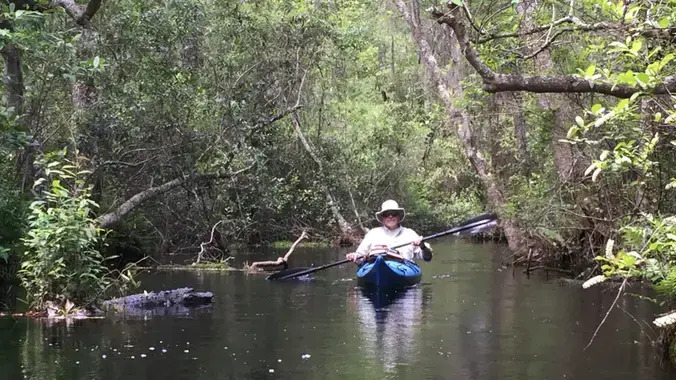 Gator and kayak