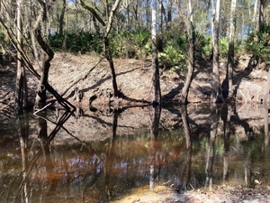 [Staten Road across, Withlacoochee River @ Staten Road 2022-12-06]