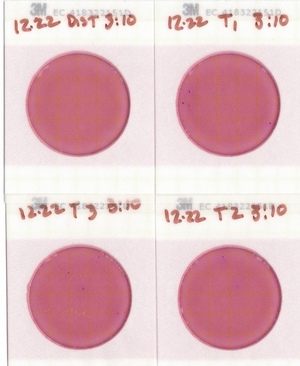 [Plates, Troupville Boat Ramp 2022-12-22]