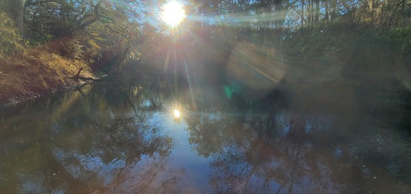 Downstream, Staten Road, Withlacoochee River, 2023:01:06 16:14:28, 30.9277658, -83.2934676