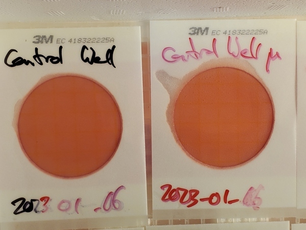[Two controls: well water, and 3-minute microwaved well water, 17:22:09]