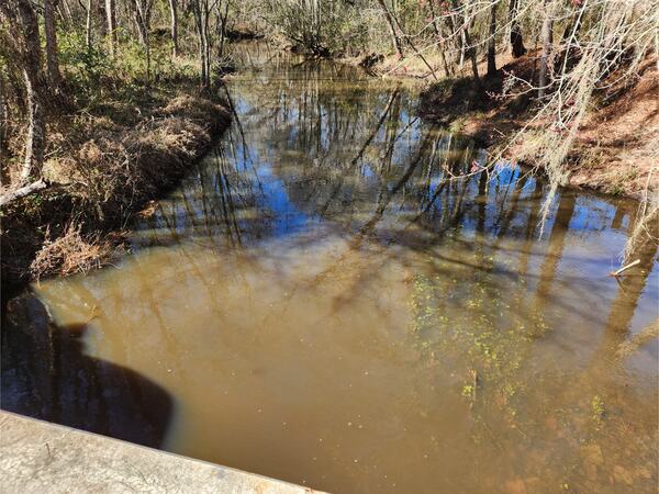 [Beaverdam Creek @ Park Street, Beaverdam Creek @ Park Street 2023-01-26]