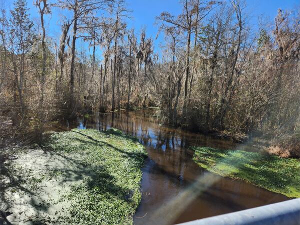 [Cat Creek @ GA 122, Cat Creek @ GA 122 2023-01-26]