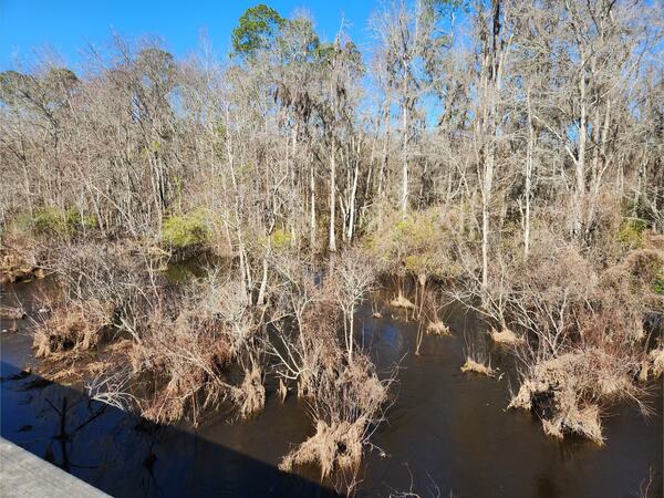 [Cat Creek @ GA 37, Cat Creek @ GA 37 2023-01-26]