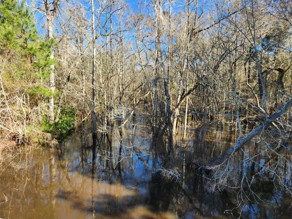 [Cat Creek @ Cat Creek Road, Cat Creek @ Cat Creek Road 2023-01-26]