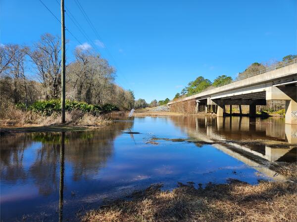 [Hagan Bridge Landing, Withlacoochee River @ GA 122 2023-01-26]