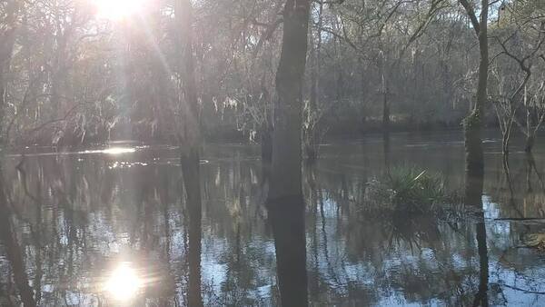 Movie: Langdale Park in Withlacoochee River, 16:28:34, 30.8871015, -83.3233910 (26M), 2023-01-26