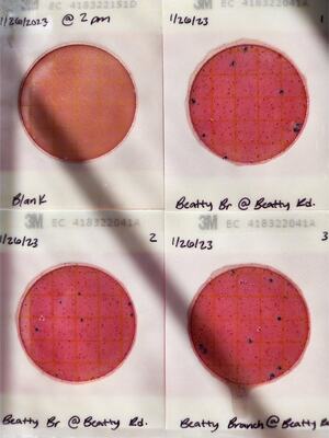 [Plates, Beatty Branch @ Beatty Road 2023-01-26]
