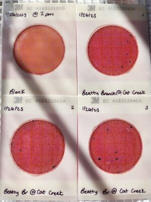 [Plates, Beatty Branch @ Cat Creek Road 2023-01-26]