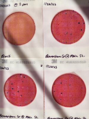 [Plates, Beaverdam Creek @ Main Street 2023-01-26]