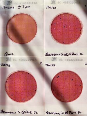 [Plates, Beaverdam Creek @ Park Street 2023-01-26]