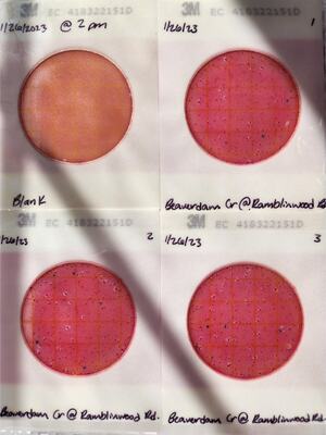 [Plates, Beaverdam Creek @ Ramblinwood Road 2023-01-26]