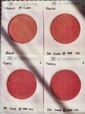 [Plates, Cat Creek @ GA 122 2023-01-26]