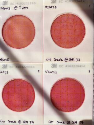 [Plates, Cat Creek @ GA 37 2023-01-26]