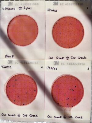 [Plates, Cat Creek @ Cat Creek Road 2023-01-26]
