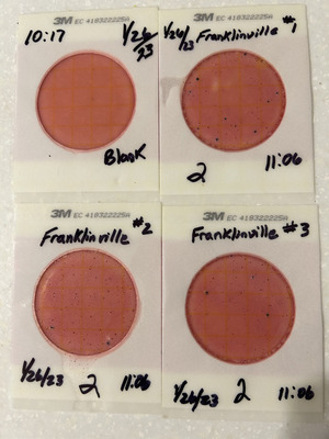[Plates, Franklinville, Withlacoochee River, 2023-01-26]