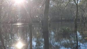 [Movie: Langdale Park in Withlacoochee River, 16:28:34, 30.8871015, -83.3233910 (26M), 2023-01-26]