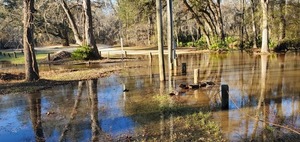 [Langdale Park Boat Ramp, Downflow, Withlacoochee River, 2023-01-26, 16:31:37, 30.8873447, -83.3235757]