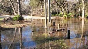 [Movie: Water flowing down the driveway into Langdale Park Boat Ramp, 16:31:37, 30.8873447, -83.3235757 (26M), 2023-01-26]