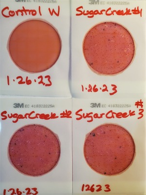 [Sugar Creek, Plates, 2023-01-26, 2023:01:27 17:51:47]