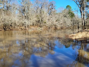 [Troupville Boat Ramp Water Level, Little River @ GA 133 2023-01-26]