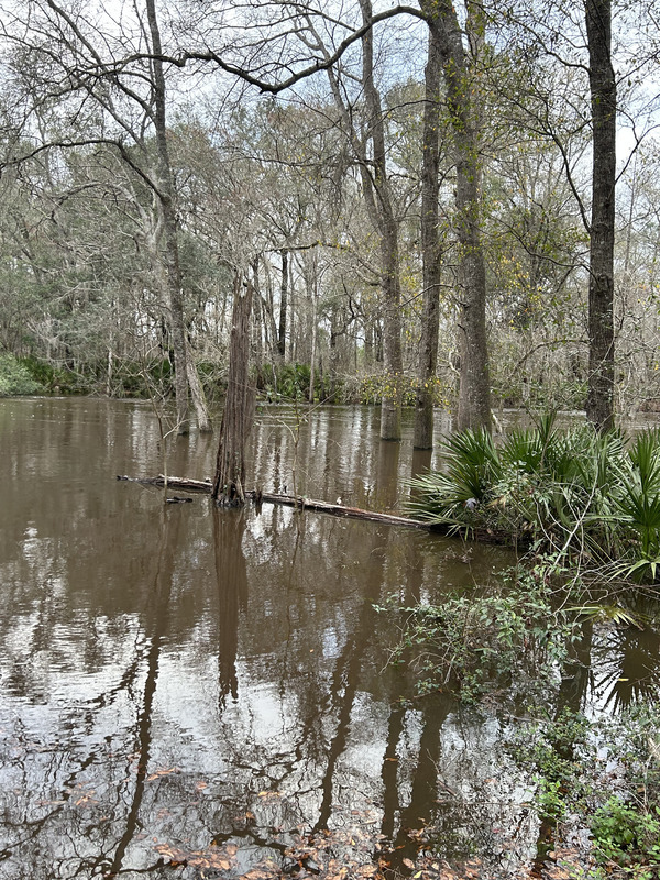 [Staten Road, Withlacoochee River @ Staten Road 2023-02-12]