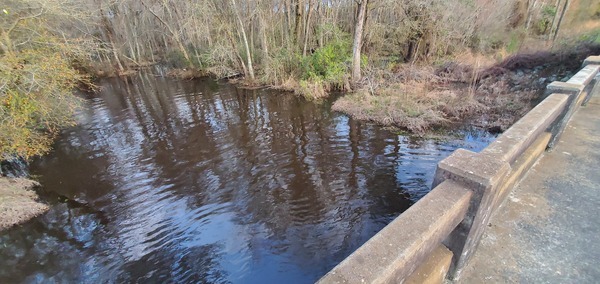 [Upstream @ Cherry Creek Road, 2023:02:12 17:53:35, 30.9095848, -83.2913540]