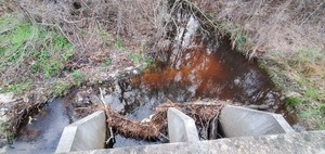 [Upstream, Cherry Creek at Lake Laurie Drive, 2023:02:12 17:28:21, 30.8949575, -83.2825453]