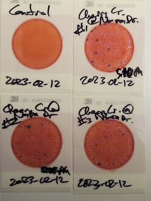 [Plates, Cherry Creek @ Napa Drive, 2023-02-12]