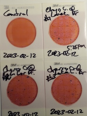 [Plates, Cherry Creek @ Lake Laurie Drive, 2023-02-12]