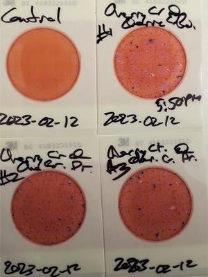 [Plates, Cherry Creek @ Cherry Creek Road, 2023-02-12]