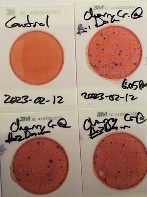 [Plates, Cherry Creek @ Dam, 2023-02-12]
