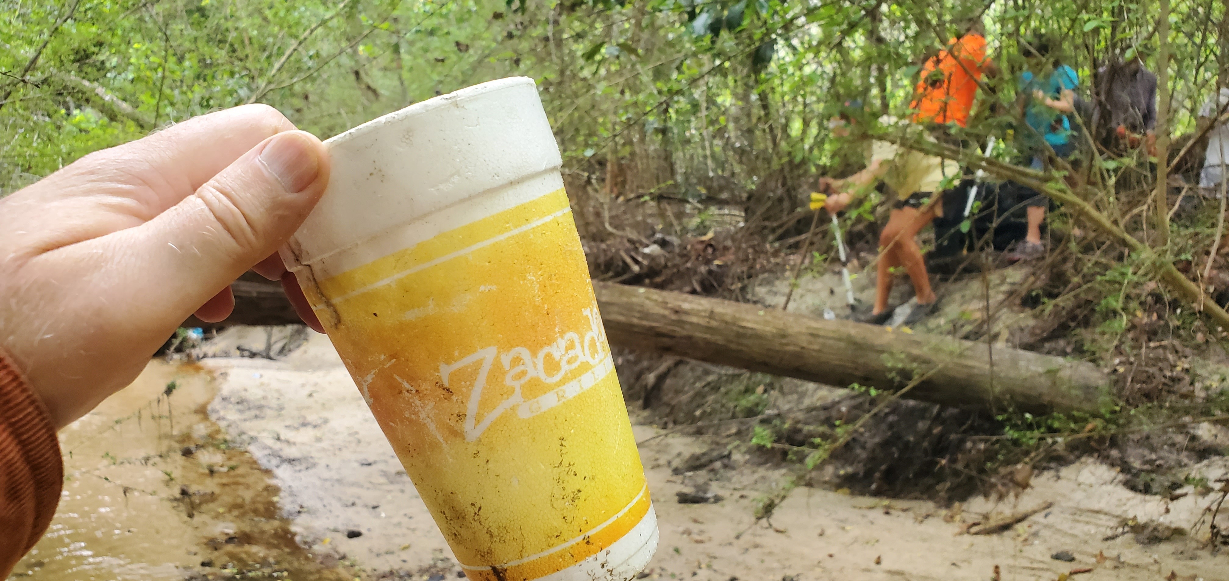 Zacadoo's cup, intact, 2023:03:25 10:11:23, 30.8624574, -83.2994384