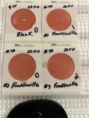 [Plates, Franklinville 2023-05-11]