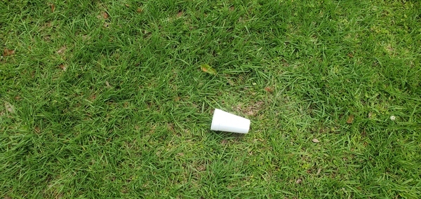 [Styrofoam cup, 2023:05:23 15:12:24, 30.8493750, -83.2776780]