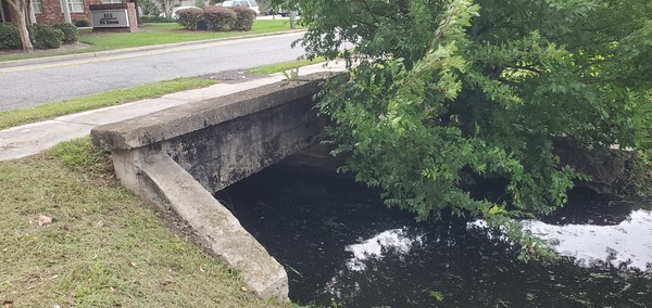 [Downstream, N. Toombs St. culvert, Browns Canal, 2023:05:23 15:50:05, 30.8358413, -83.2829765]