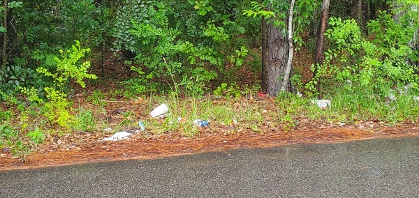 [Trash along University Drive near Moody Drive, 2023:05:23 16:41:43, 30.8650276, -83.2837872]